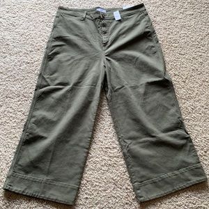 LOFT/ Ann Taylor Wide Leg Pants Size 18/34 NWT